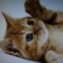 만수5동-10 이미지