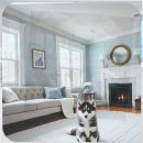 폼스키 | 분당 폼스키분양 재이용 후기부터 지역 꿀팁까지 단계별 가이드