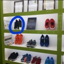 슈올즈 괴정점 이미지