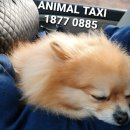 GS25태화중앙점 이미지