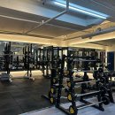 레벨업핏 이미지