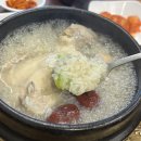 고속터미널역 맛집 삼계탕마을 내돈내산 후기(몸보신하기)