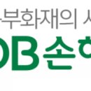 DB 손해보험