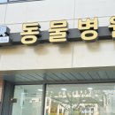 레스펫동물병원 이미지