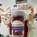 건강한펫 이미지