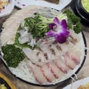 박영철 | [대구 유천교 맛집 박영철사시미] 제철 활어만 선별 숙성회맛집