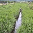 22일 운봉에서 인월, 운봉우로(雲峰雨路) 이미지