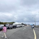 고성리-15 | 성산읍 가볼만한 곳 섭지코지 후기