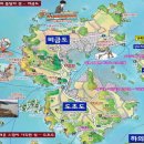 2026년 6월 24일 수요일 전남 신안 도초수국축제장 트레킹 안내 및 예약 이미지