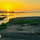 일출여다지 이미지