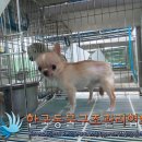 문정2동 주민센터 이미지
