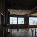 제주 동쪽 함덕 카페 어반정글 그레이밤부 카페 후기