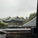 욕망오므라이스 | 2605(1)_정착 떡볶이집 발견, 신라호텔 하객 후기 바쁘다 바빠