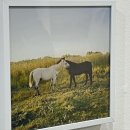 파라다 모텔 이미지