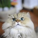 의정부종합동물병원 이미지