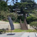 별미로스터스