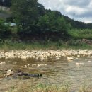 속리산카센타 이미지