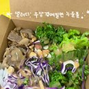 샐러디 수유역점 | [서울/강북] 샐러디 수유역점: 우삼겹메밀면 메뉴 추천 포장 내돈내산 후기