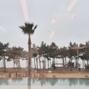 라마다프라자호텔&씨원리조트 자은도 | [신안 자은도 라마다 프라자 호텔 &amp; 씨원리조트] 4개월 아들과 다녀온 내돈내산 후기