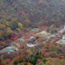 금양주유소 이미지