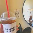 매머드익스프레스 인덕원디지털엠파이어점 | [인덕원] 카페 :: 저렴하고 맛있는 커피 찾았다! | 매머드익스프레스 | 아메리카노 | 새오픈 | 인테리어