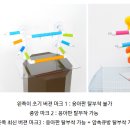 푸롱이네놀이터 이미지
