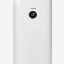 메이드 펫 이미지