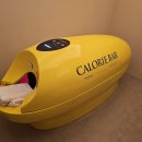 21그램 케어센터 합정점 | 합정 칼로리바 후기 칼로리바 다이어트 합정 메세나폴리스 직영점