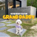 펫대디(Pet Daddy) | [GRAND DADDY/그랜드대디]대구 근교 경산 애견동반가능 카페, 복숭아 빙수 맛집,경산 브런치 맛집, 경산...