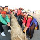 도양축구장 네이버블로그