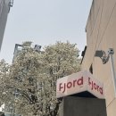 사평대로53길 96-4 | 용산 목련 개화 테라스 카페 🌼 신용산역 피요르드, 굿뉴스카페앤모어 🤍 내돈내산 후기