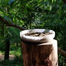 엄마의 밥상 이미지