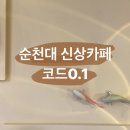 코드0.1