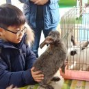 이동문농장 이미지