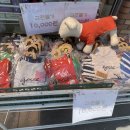 펫클럽광릉점