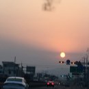 최우식동물병원 이미지