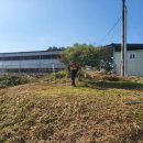 세움 태양광발전소 이미지