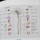 일광사우나 이미지
