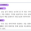 쿠키넷