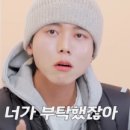 법인최강 이미지