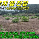 성읍민속로 이미지