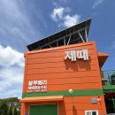 자연협동조합 | 세종 블루베리 체험 추천｜블루베리 제때협동조합에서 1kg 수확한 후기