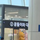 250517 SSG vs 한화 더블헤더 1,2차전 대전한화생명볼파크 직관후기(3루 내야지정석, 115구역 15열 / 27열)
