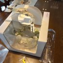 주랑케이크 이미지