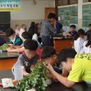 원일초교 이미지