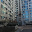 로이치과의원 이미지