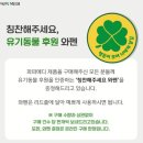 파파메디
