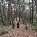 두봉마을경로당 이미지