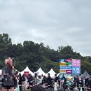 야외마당 콘서트 6회차 | 그랜드 민트 페스티벌 2025 GMF 그민페 첫째날 우선입장권 후기 (KSPO DOME 100번대)