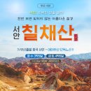부산고속투어